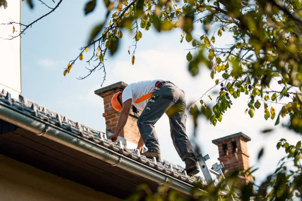 Best Storm Damage Roof Repair  in Four Corners, MT